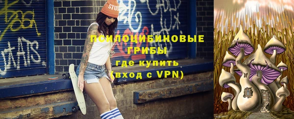твердый Белоозёрский