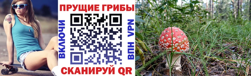 Псилоцибиновые грибы прущие грибы  Купить где  Юрьев-Польский 